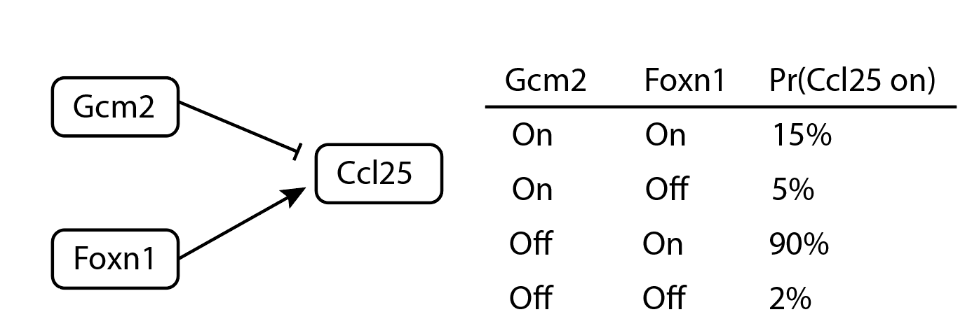 An example of a small probabilistic Boolean network model.