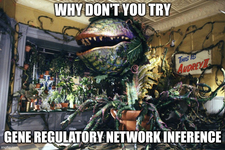 An image of Audrey II captioned 'Why dont you try .... GENE REGULATORY NETWORK INFERENCE?'