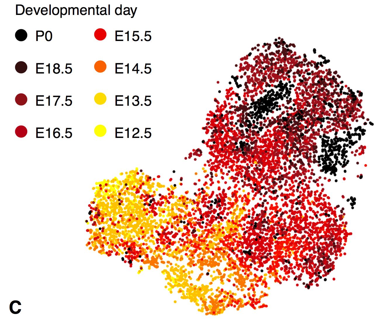 Thymocytes from the Atlas show TCR expression where expected